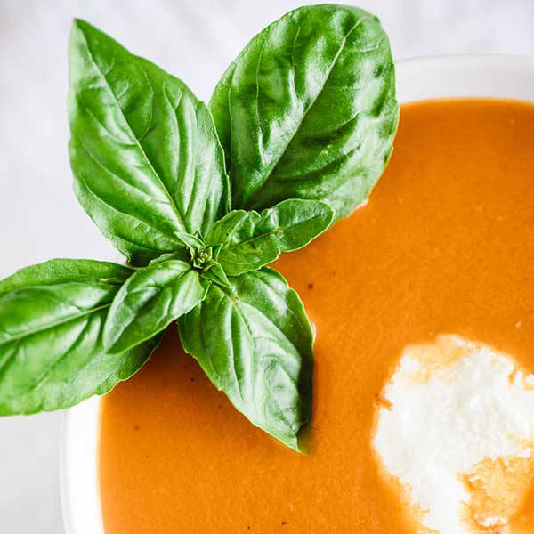 Slow Cooker Tomato Basil Soup Recipe for Slow Cooker Tomato Basil Soup