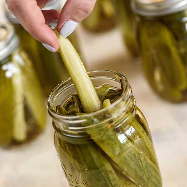 Quick and Easy Dill Pickles Recipe for Quick and Easy Dill Pickles