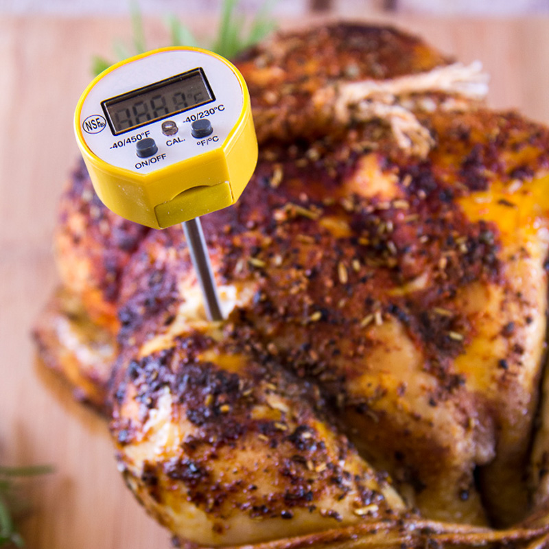 How to Take a Turkey's Temperature