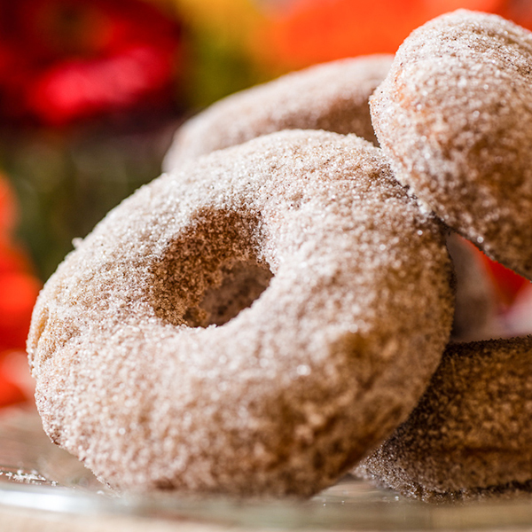 Pumpkin Donuts