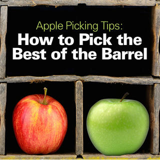 Apple Tips: How to Pick the Best of the Barrel Click for Apple Tips: How to Pick the Best of the Barrel